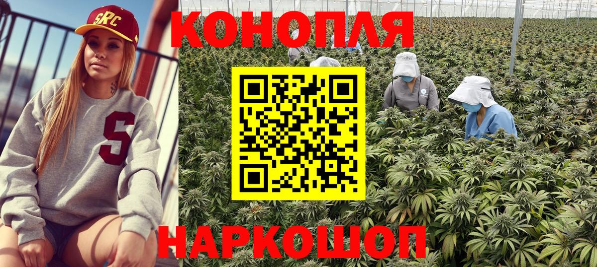 Искитим  Шишки марихуана OG Kush  Каннабис семена  Вход с VPN 